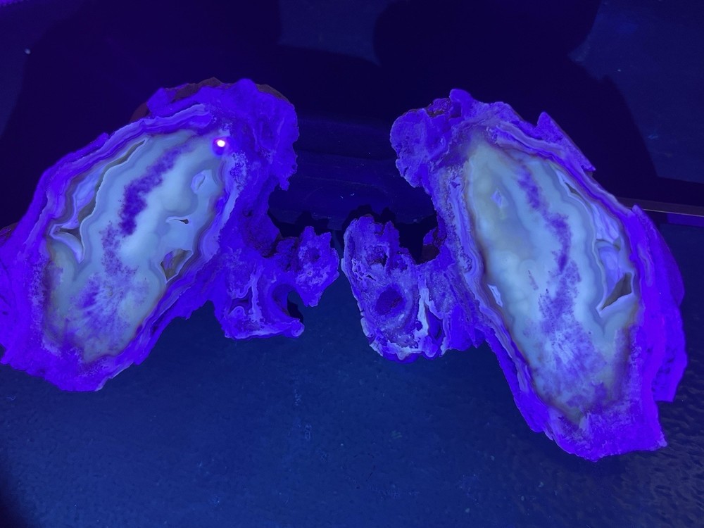 Huge Polished Agatized Coral Geode