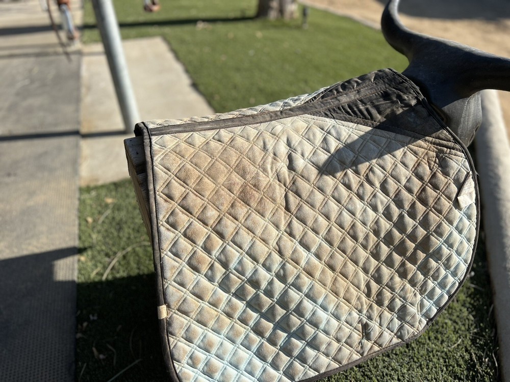 Lettia Collection CoolMax AP Saddle Pad