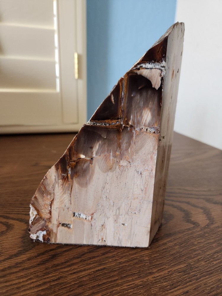 Polished Petrified Wood Bookend 3lb