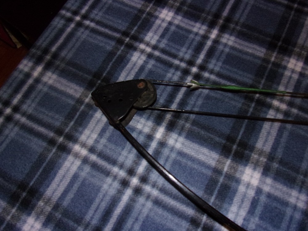 Bear Mini Magnum Youth Compound Bow