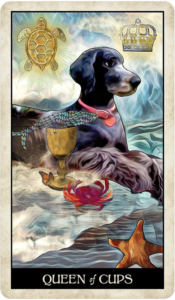 Wise Dog Tarot Card Deck!