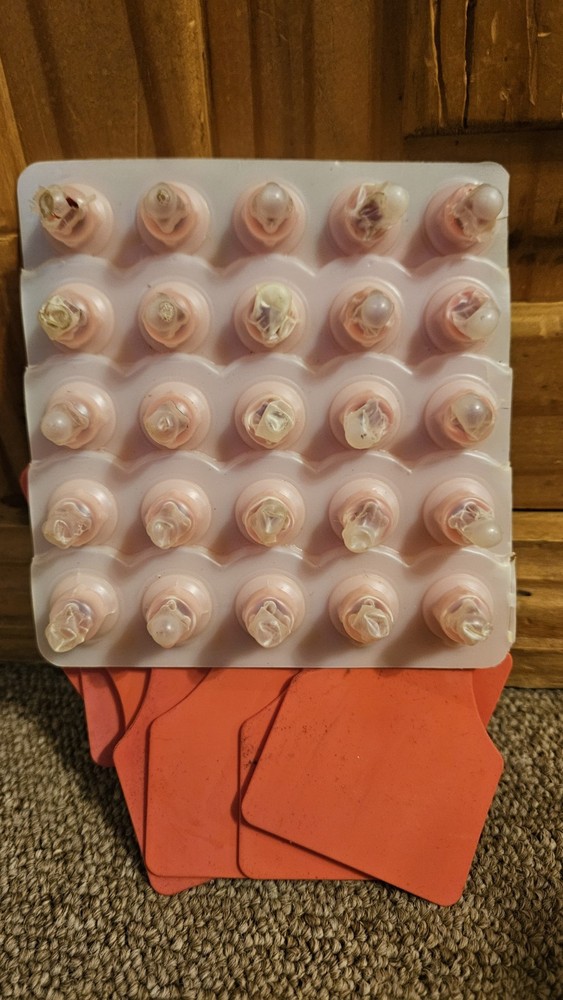 Set Of 25 Blank Cattle Ear Tags