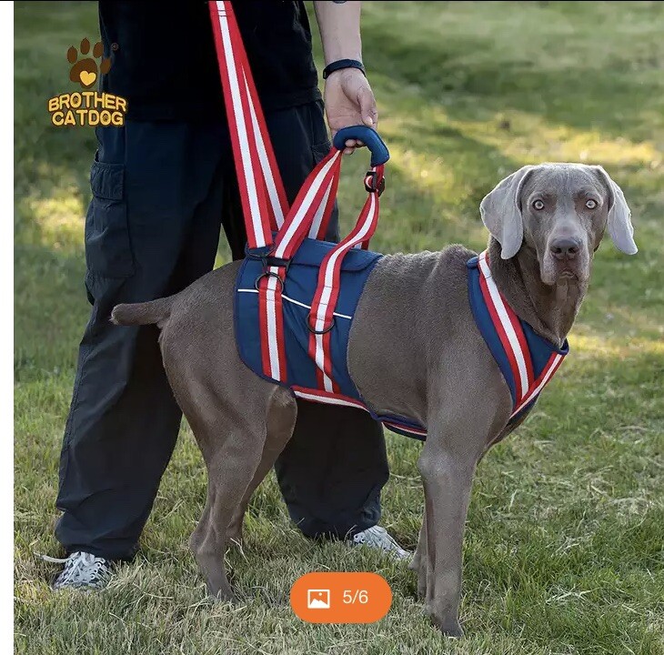 Brother CatDog Lift Harness Large