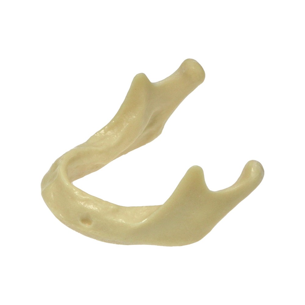 Dental Implant Mandible Jaw Model Basic Drilling Insertion Practice M2022