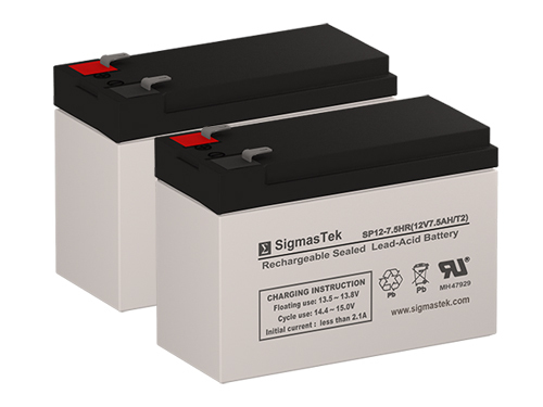 Razor E300 Electric Scooter Replacement Battery Set By SigmasTek
