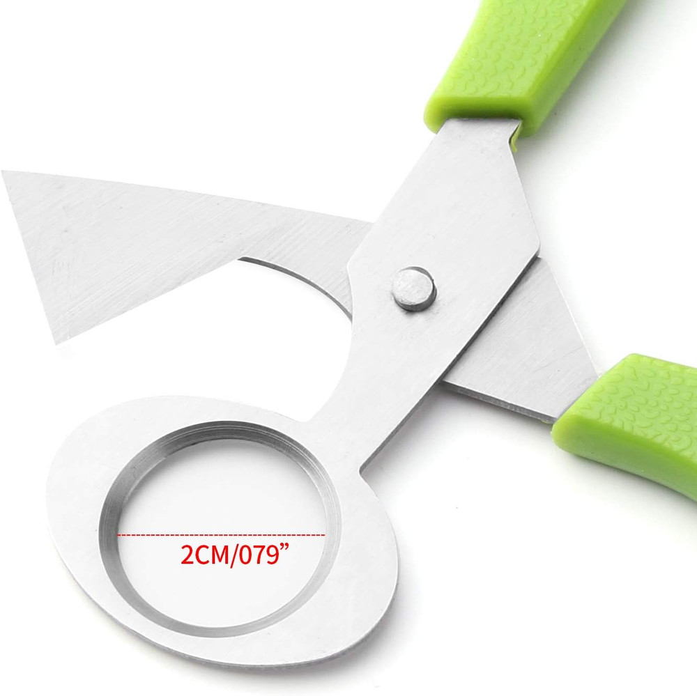 3Pcs Quail Egg Cutter Scissors Kitchen Egg Shears Tool (Green)