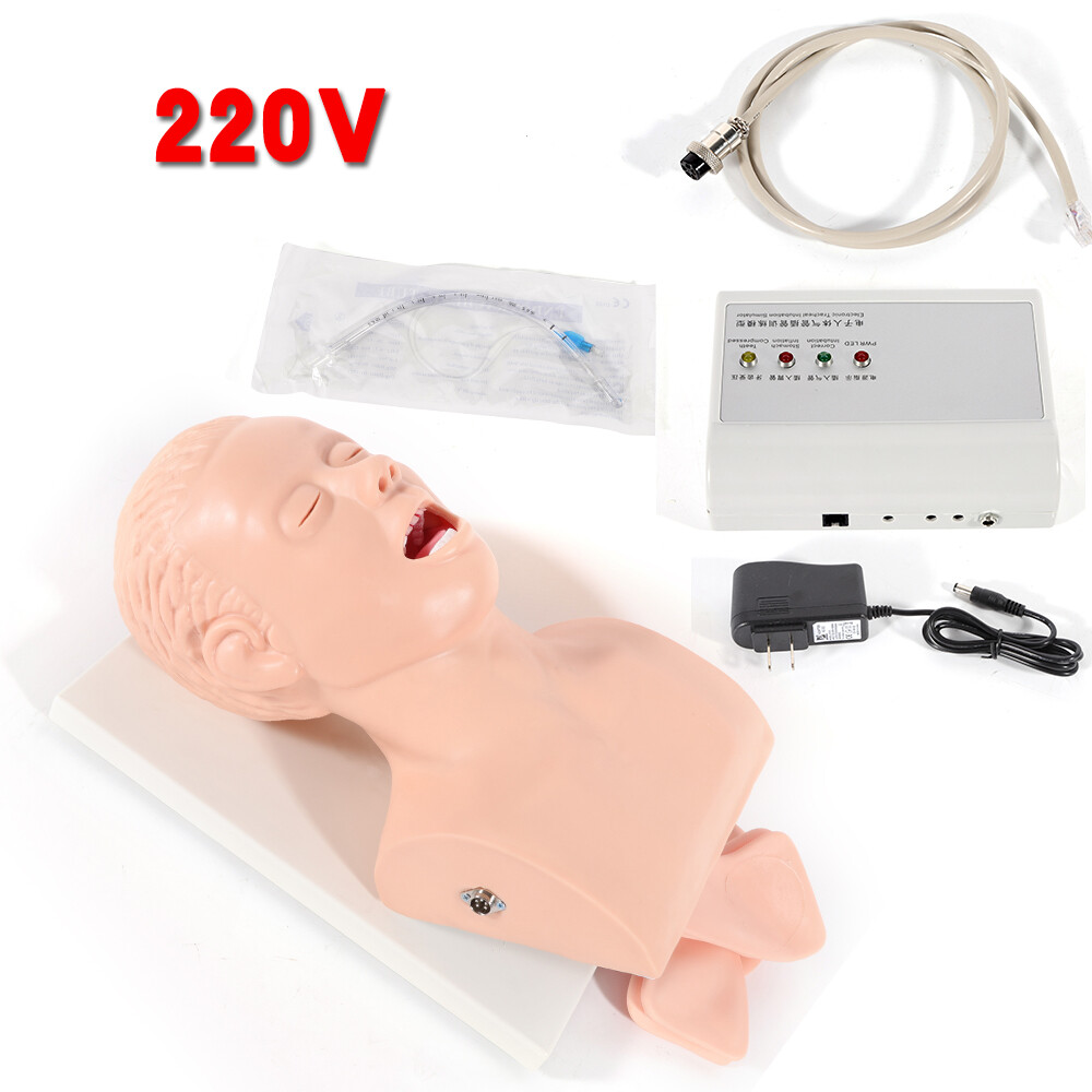 Intubation Manikin Study Teaching Simulator Airway Management Trainer Model