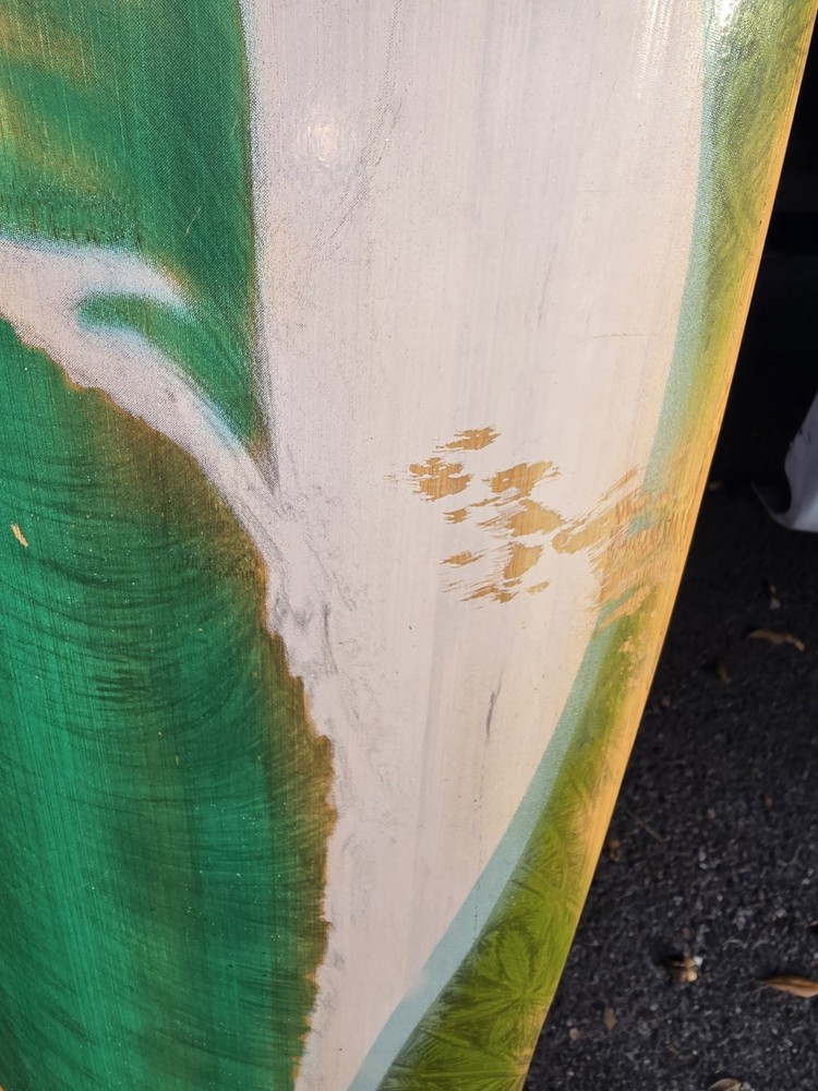 Sector 9 Skateboard Bamboo Deck Long Board
