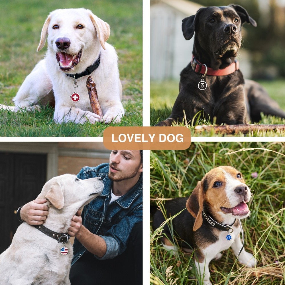 LEASH KING Cute Pet ID Tags with Split Ring