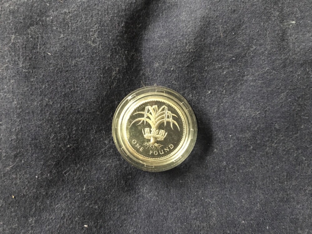 1985 Silver Great Britain 1 pound coin - T25