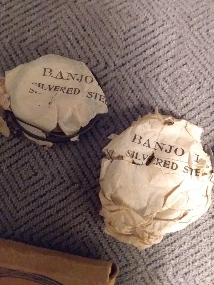 Vintage SUNLIGHT (one set) Banjo Strings #107