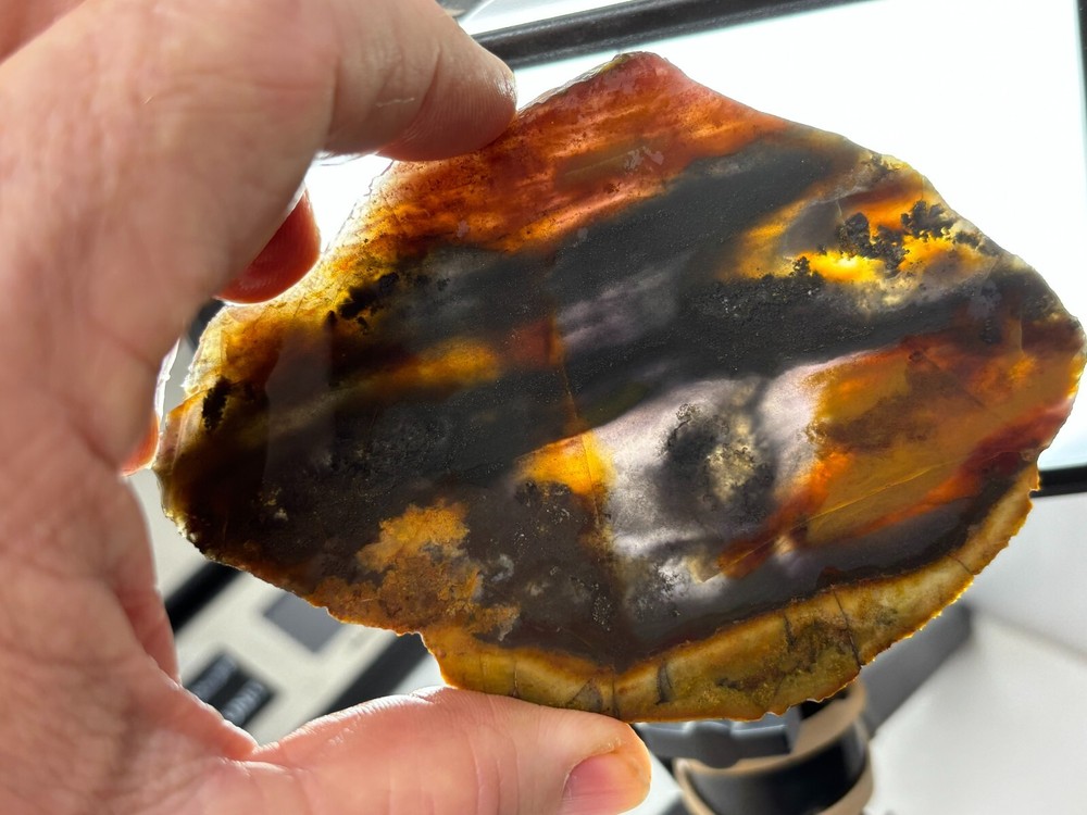 Oregon State Jasper Slab Cabbing Lapidary Carving Combo Ship Avail