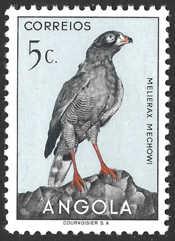 Angola  1951.  Birds.  Sc# 333, MNH