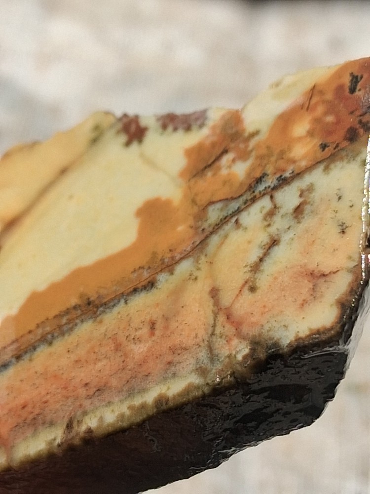 Death Valley Indian Paint Cab Ready For Lapidary