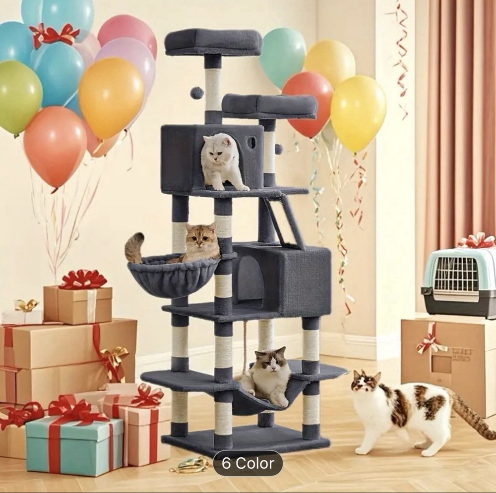 Cat Home