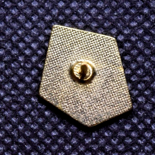 US Ski Team Ski Lapel Pin