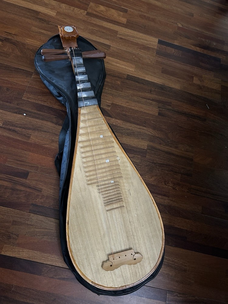 Chinese musical instruments-Pipa