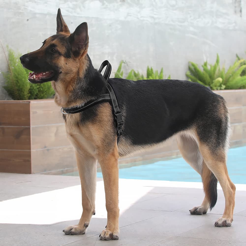 No Pull Dog Harness with Breathable Mesh Padded, Adjustable Reflective Escape...
