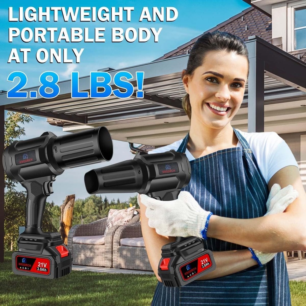 Seese Cordless Handheld Violent Fan/Leaf Blower + 2 Batteries/Charger/Case