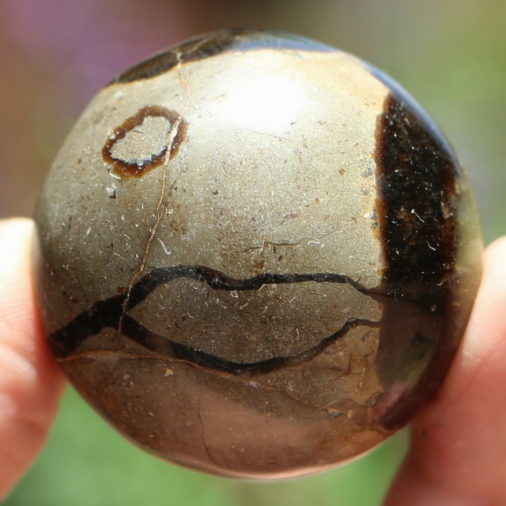 Polished Septarian Nodule (SEP98)