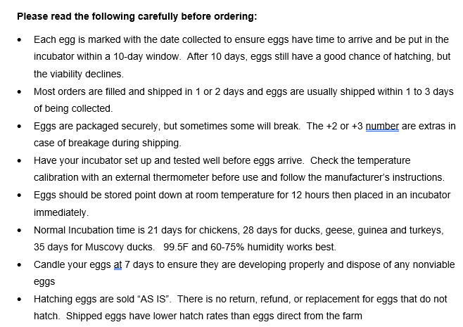 6 Khaki Campbell Duck Hatching Eggs
