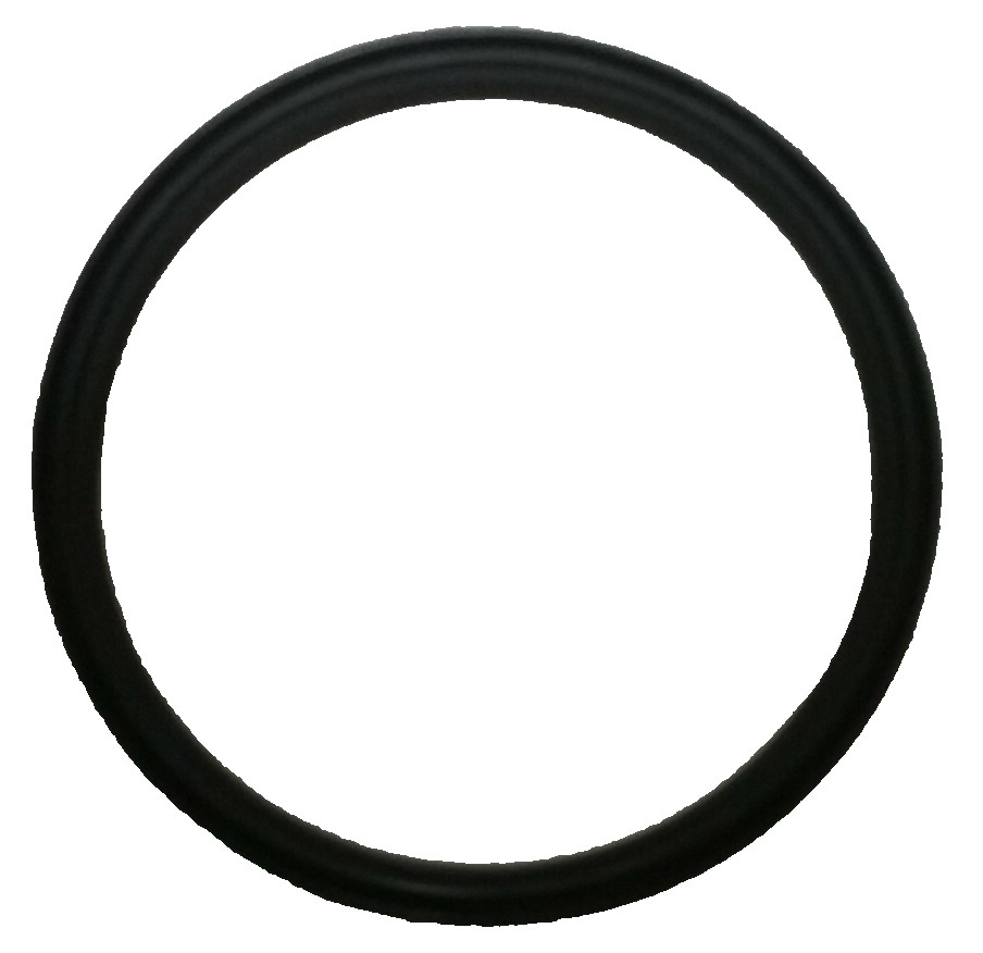 3895023 CUMMINS SEAL, DUST