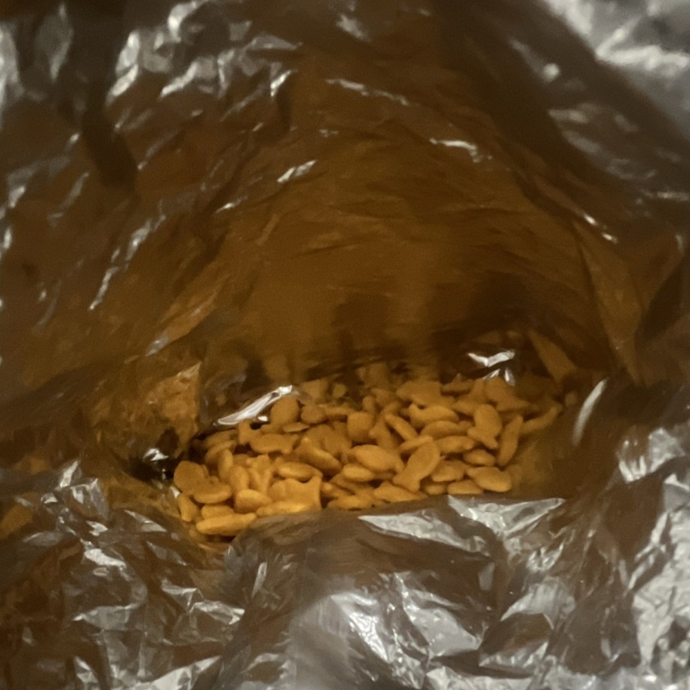 Double goldfish Exp 10/26/26