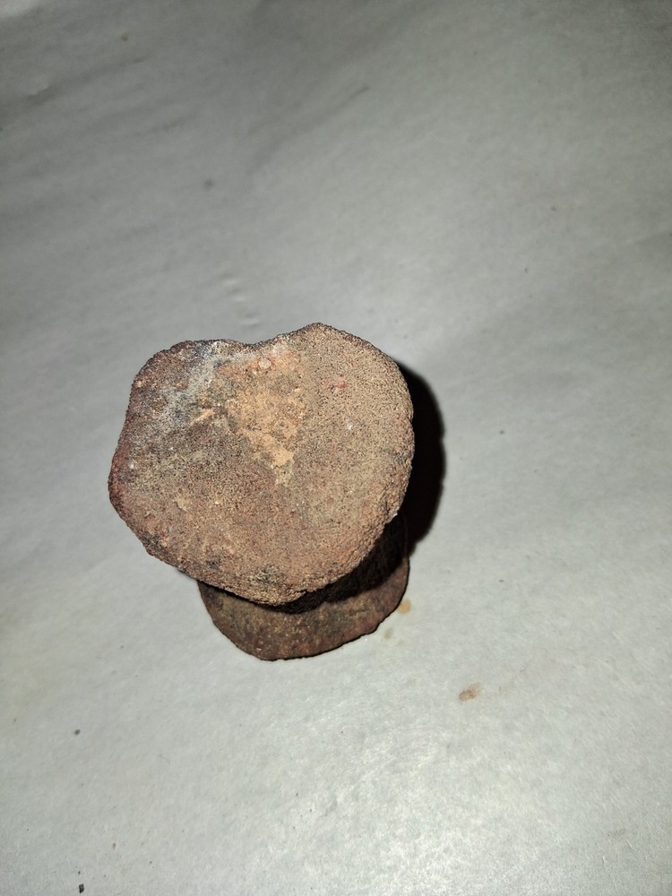 Dinosaur Fossil Vertebrae