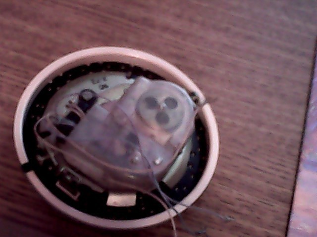 W.E Rotary Phone Dial,For Parts