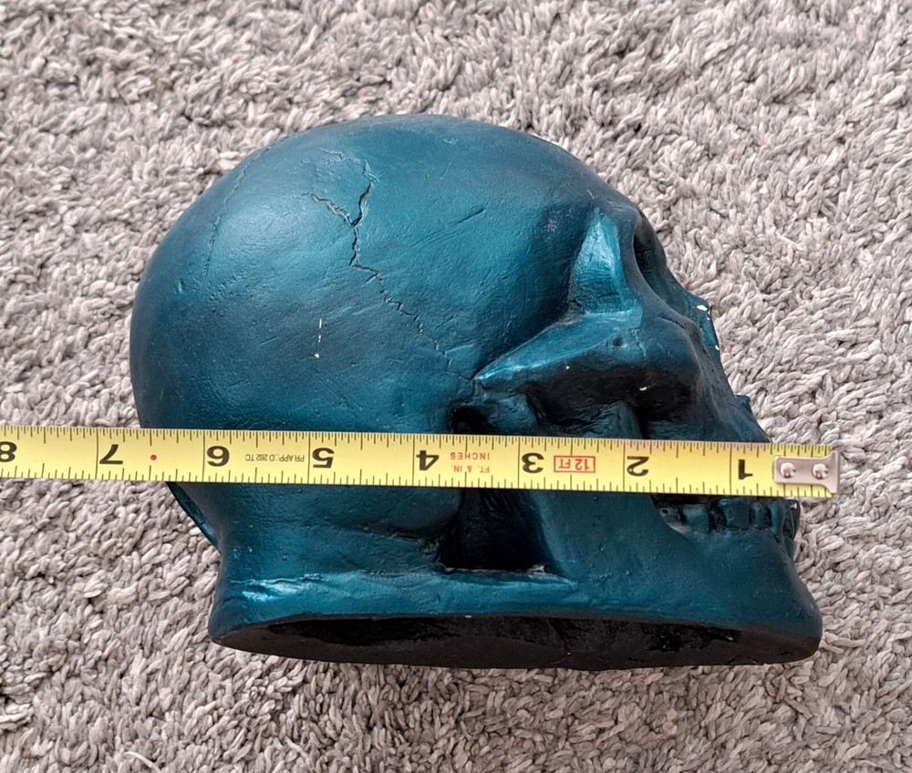 Skull