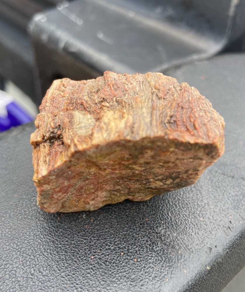Textured Red Petrified Wood 2 Oz