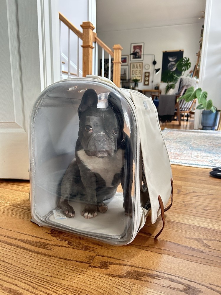 Pet Cat Dog Backpack Carrier With Clear View