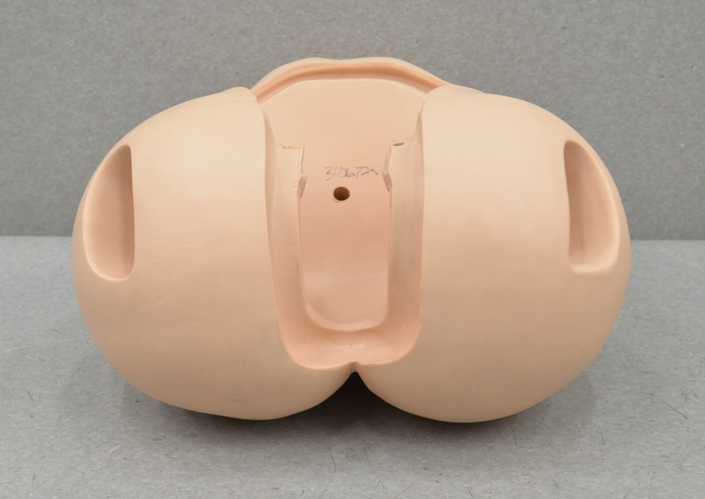 Laerdal In-Service Home Care Training Simulator 375-20001