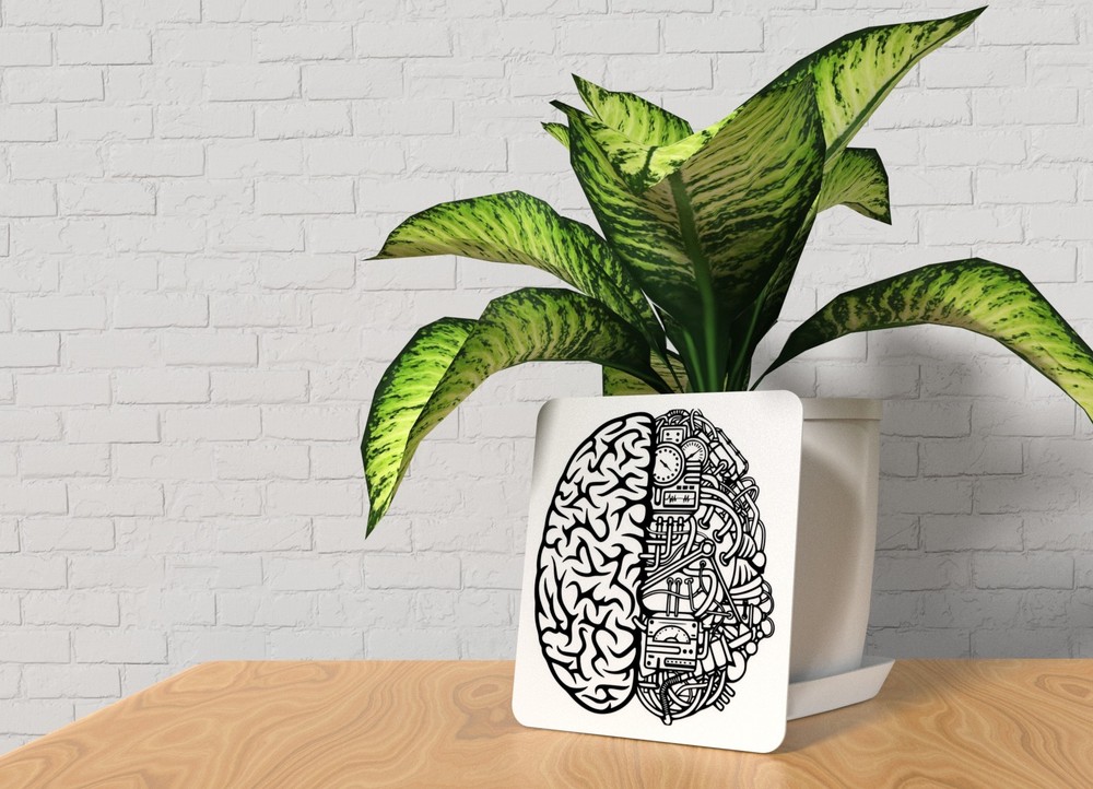 Brain | Funny sign For Home or Office