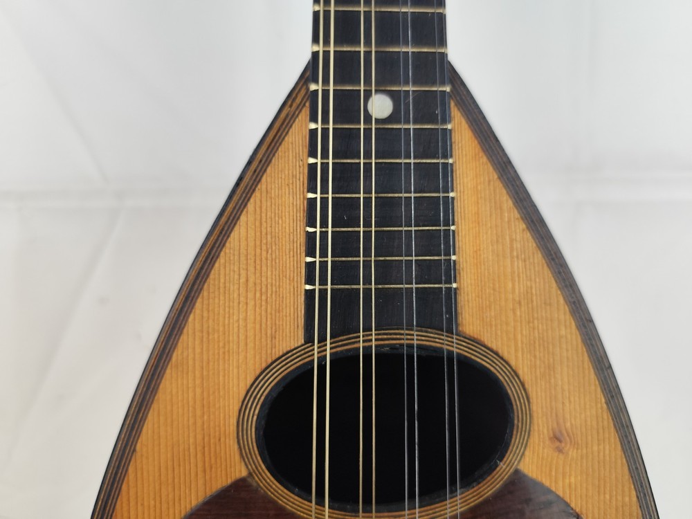 Mandolin Alberto Alberti 1905 Rome 曼陀林 만돌린マンドリン