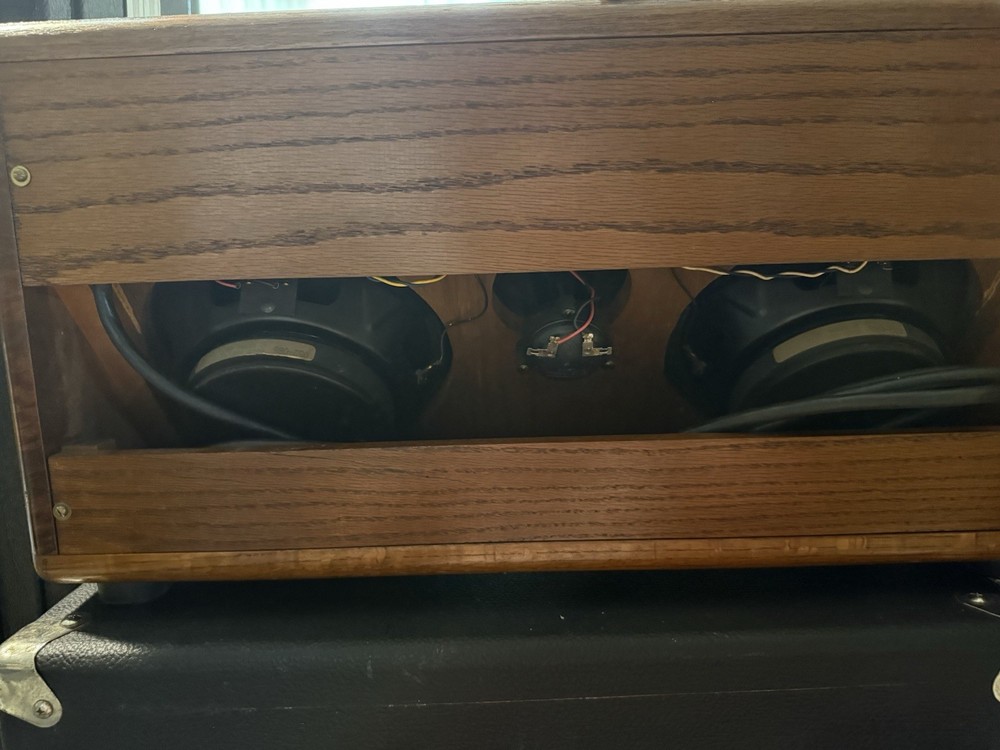 Rare Guild Tamarack Amplifier