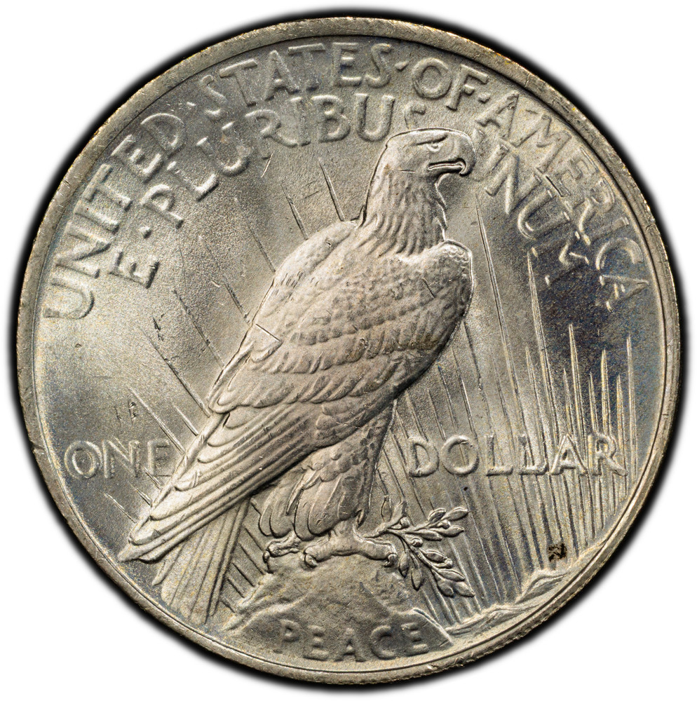 PCGS MS65 1923 Peace Dollar Silver Philadelphia