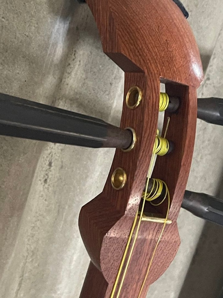 Luxury Shamisen With Case