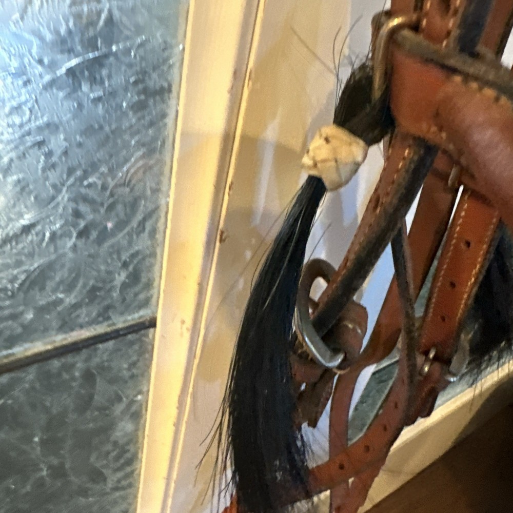 Bridle that combines side pull control with the action of a snaffle bit #R45