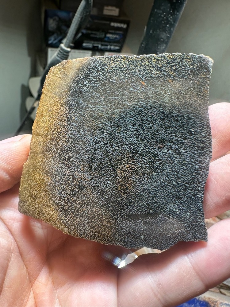 Dinosaur bone rough **hxtled slab.