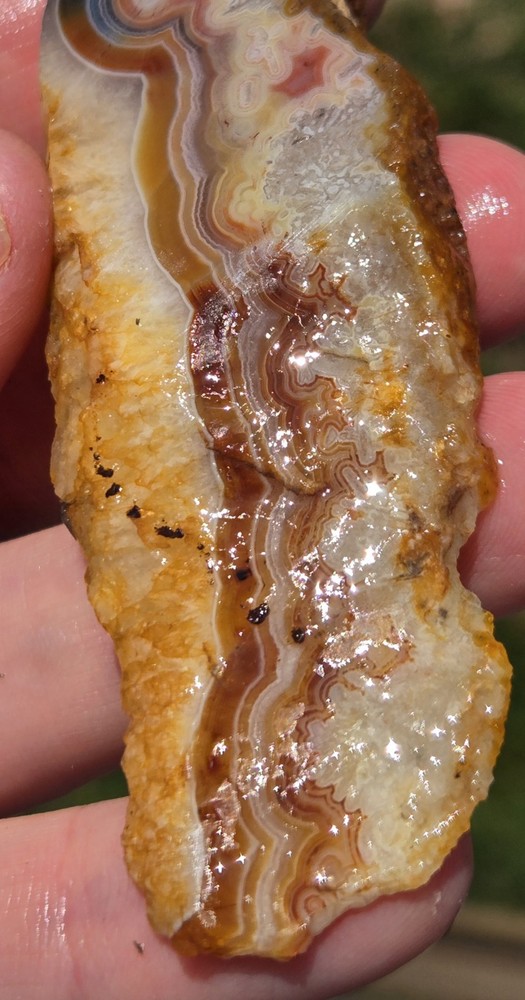 Turkish Agate Slabs Slices From Two Stones Matching Lapidary Unique