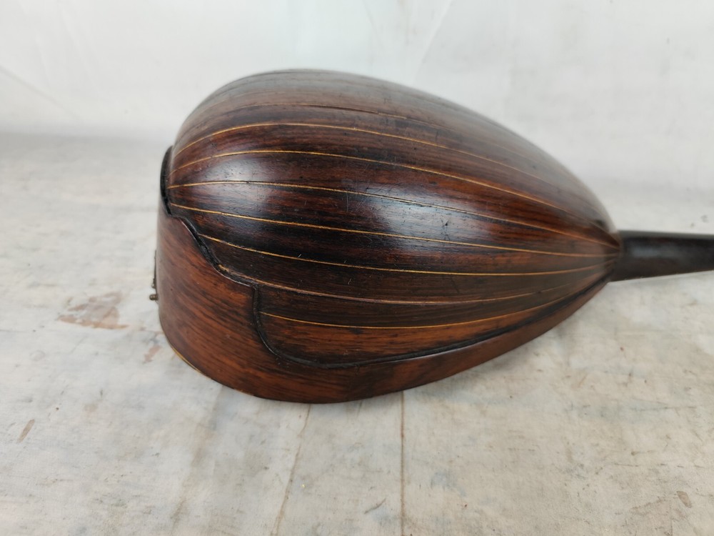 Mandolin 4/4 Alfonso Moretti 1915 Naples 曼陀林 만돌린マンドリン