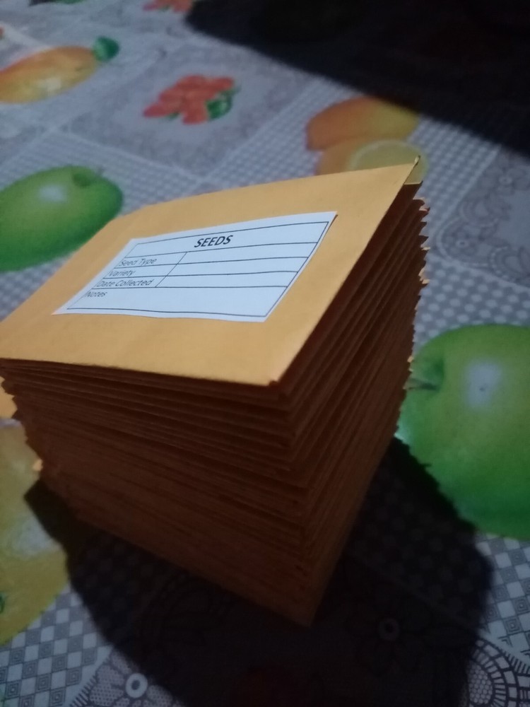 50Pcs Seed Saving Envelopes, Bulk 2.5x3 Empty 80gsm Packets Seeds container pack