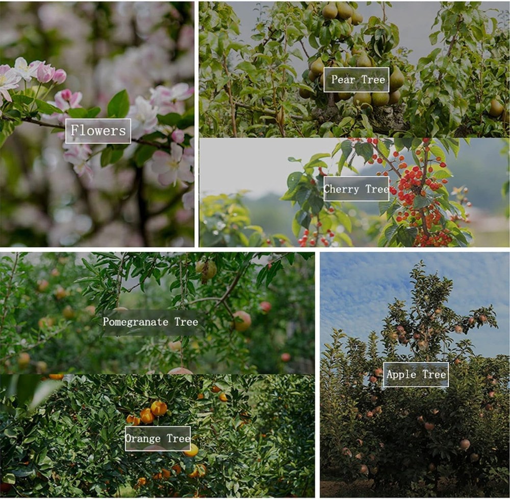 Fruit Tree Branch Spreader 11.8 inch, 21 pcs Tree Branch Puller Fruit Tree Br...