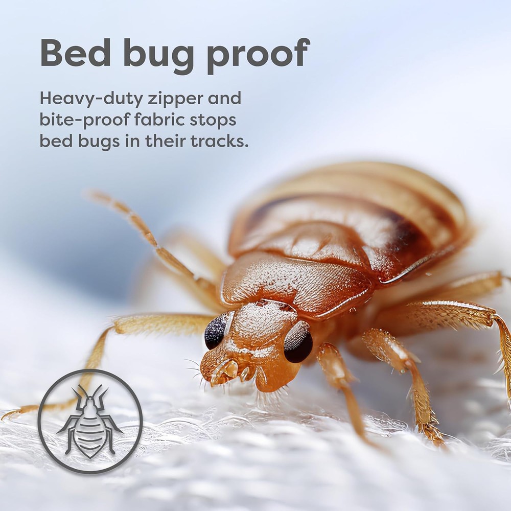 Full Box Spring Encasement Zippered Bed Bug Dust Mite Proof Hypoallergenic Red