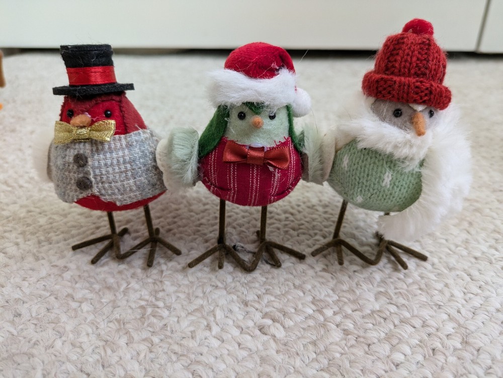 Target Featherly Friends Birds