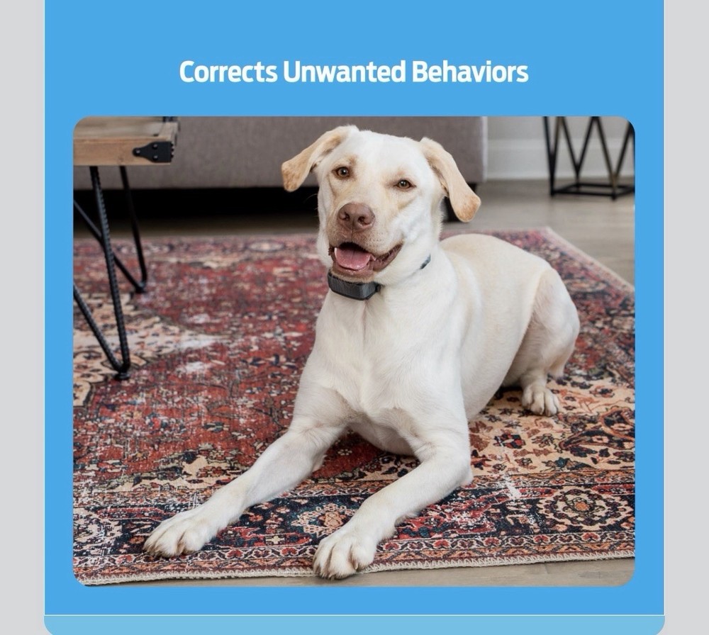 Premier Pet 300 Yard Remote Trainer