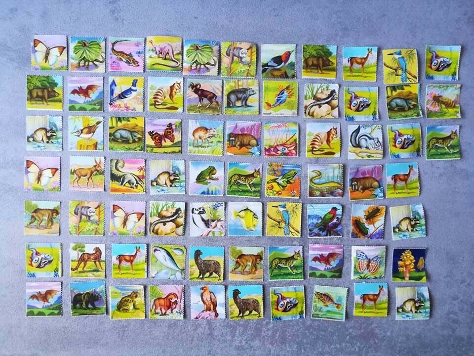 Vintage Point Collector