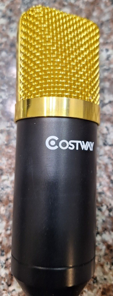 CostWay Microphone