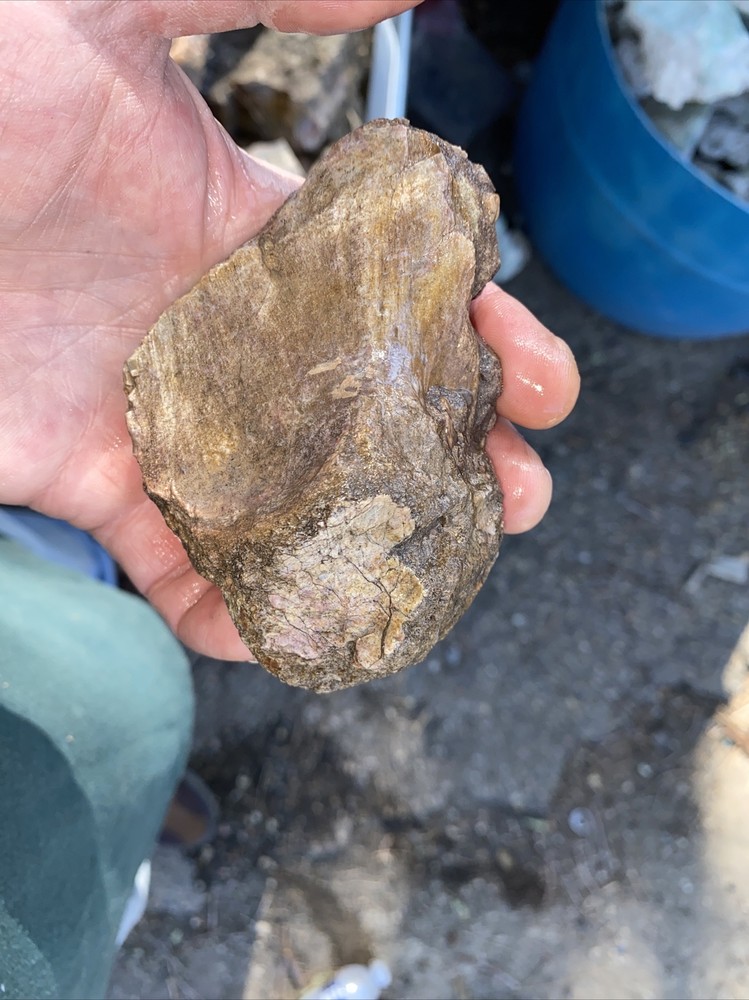 Structural dinosaur bone